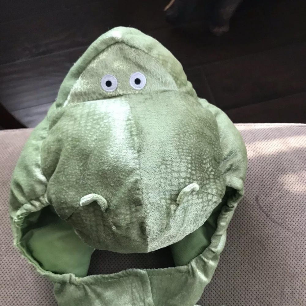 Toy Story Plush Dinosaur costume